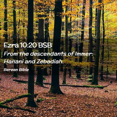 Picture 02 - Ezra 10:20 BSB - From the descendants of Immer: Hanani and - Bible Verse Picture