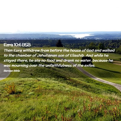 Picture 02 - Ezra 10:6 BSB - Then Ezra withdrew from before the house of God - Bible Verse Picture