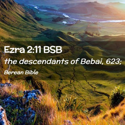 Picture 02 - Ezra 2:11 BSB - the descendants of Bebai, - Bible Verse Picture