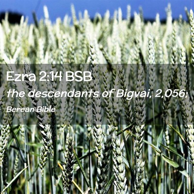 Picture 02 - Ezra 2:14 BSB - the descendants of Bigvai, - Bible Verse Picture