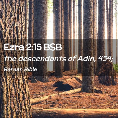 Picture 02 - Ezra 2:15 BSB - the descendants of Adin, - Bible Verse Picture