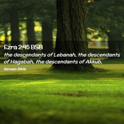 Picture 02 - Ezra 2:45 BSB - the descendants of Lebanah, the descendants of - Bible Verse Picture