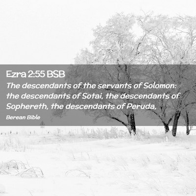 Picture 02 - Ezra 2:55 BSB - The descendants of the servants of Solomon: the - Bible Verse Picture