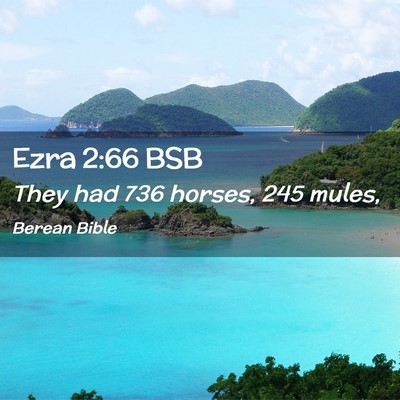 Picture 02 - Ezra 2:66 BSB - They had 736 horses, 245 - Bible Verse Picture