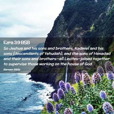 Picture 02 - Ezra 3:9 BSB - So Jeshua and his sons and brothers, Kadmiel and - Bible Verse Picture