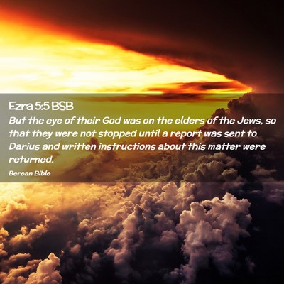 Picture 02 - Ezra 5:5 BSB - But the eye of their God was on the elders of the - Bible Verse Picture