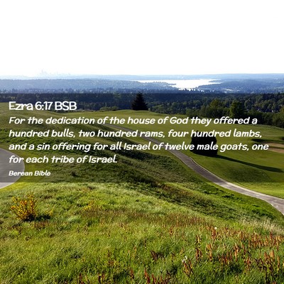 Picture 02 - Ezra 6:17 BSB - For the dedication of the house of God they - Bible Verse Picture