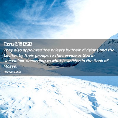 Picture 02 - Ezra 6:18 BSB - They also appointed the priests by their - Bible Verse Picture