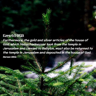 Picture 02 - Ezra 6:5 BSB - Furthermore, the gold and silver articles of the - Bible Verse Picture