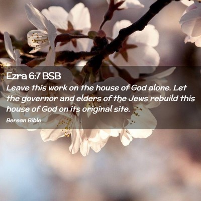 Picture 02 - Ezra 6:7 BSB - Leave this work on the house of God alone. Let - Bible Verse Picture