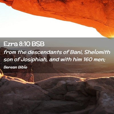 Picture 02 - Ezra 8:10 BSB - from the descendants of Bani, Shelomith son of - Bible Verse Picture