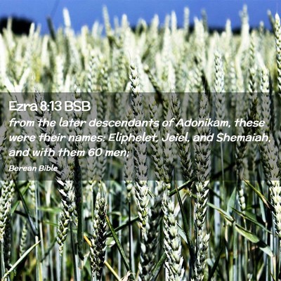 Picture 02 - Ezra 8:13 BSB - from the later descendants of Adonikam, these - Bible Verse Picture