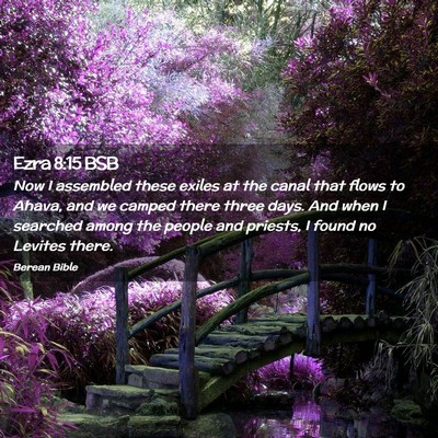 Picture 02 - Ezra 8:15 BSB - Now I assembled these exiles at the canal that - Bible Verse Picture