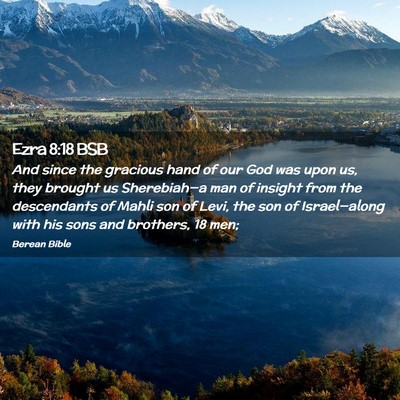 Picture 02 - Ezra 8:18 BSB - And since the gracious hand of our God was upon - Bible Verse Picture