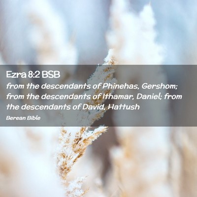 Picture 02 - Ezra 8:2 BSB - from the descendants of Phinehas, Gershom; from - Bible Verse Picture