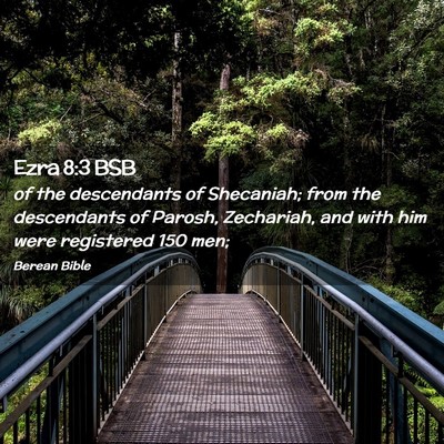 Picture 02 - Ezra 8:3 BSB - of the descendants of Shecaniah; from the - Bible Verse Picture