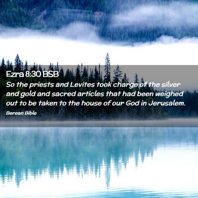Picture 02 - Ezra 8:30 BSB - So the priests and Levites took charge of the - Bible Verse Picture