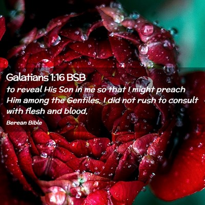 Picture 02 - Galatians 1:16 BSB - to reveal His Son in me so that I might preach - Bible Verse Picture