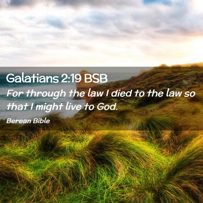 Picture 02 - Galatians 2:19 BSB - For through the law I died to the law so that I - Bible Verse Picture