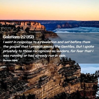 Picture 02 - Galatians 2:2 BSB - I went in response to a revelation and set before - Bible Verse Picture