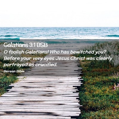 Picture 02 - Galatians 3:1 BSB - O foolish Galatians! Who has bewitched you? - Bible Verse Picture