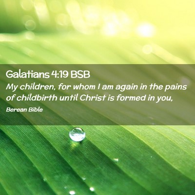 Picture 02 - Galatians 4:19 BSB - My children, for whom I am again in the pains of - Bible Verse Picture
