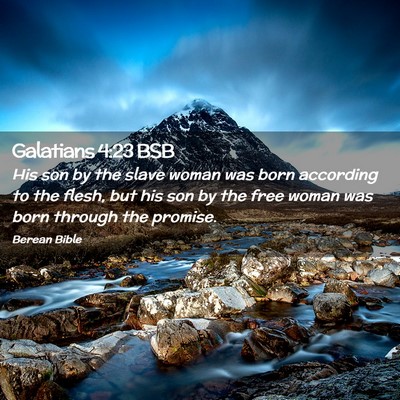 Picture 02 - Galatians 4:23 BSB - His son by the slave woman was born according to - Bible Verse Picture