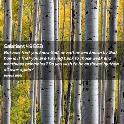 Picture 02 - Galatians 4:9 BSB - But now that you know God, or rather are known by - Bible Verse Picture