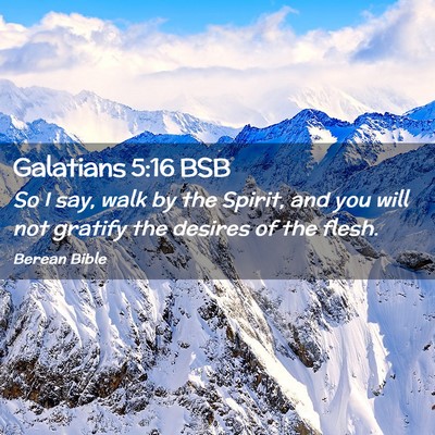Picture 02 - Galatians 5:16 BSB - So I say, walk by the Spirit, and you will not - Bible Verse Picture