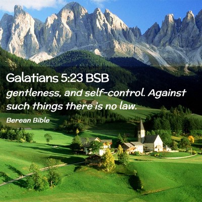 Picture 02 - Galatians 5:23 BSB - gentleness, and self-control. Against such things - Bible Verse Picture