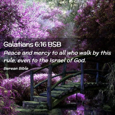 Picture 02 - Galatians 6:16 BSB - Peace and mercy to all who walk by this rule, - Bible Verse Picture