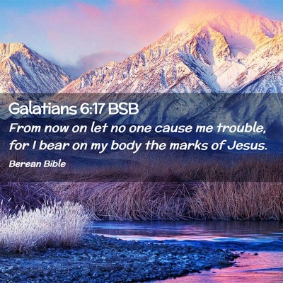 Picture 02 - Galatians 6:17 BSB - From now on let no one cause me trouble, for I - Bible Verse Picture