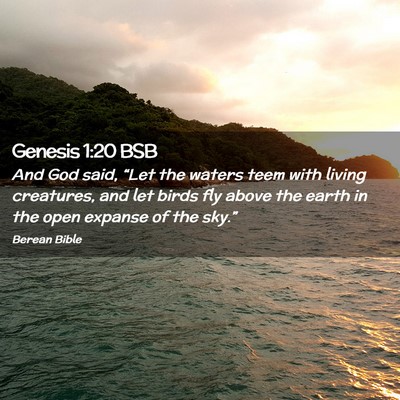 Picture 02 - Genesis 1:20 BSB - And God said, “Let the waters teem with living - Bible Verse Picture