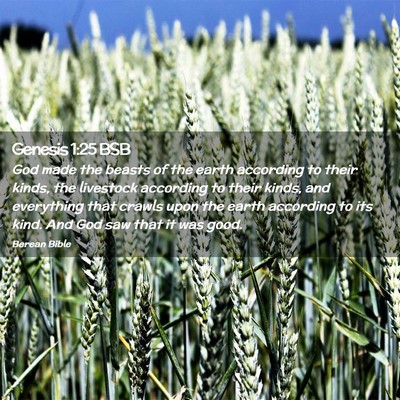 Picture 02 - Genesis 1:25 BSB - God made the beasts of the earth according to - Bible Verse Picture