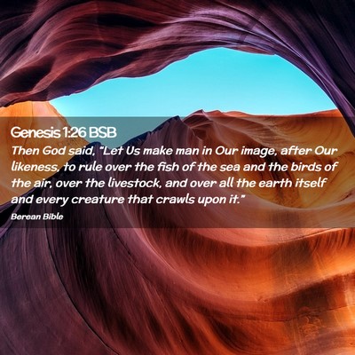 Picture 02 - Genesis 1:26 BSB - Then God said, “Let Us make man in Our image, - Bible Verse Picture