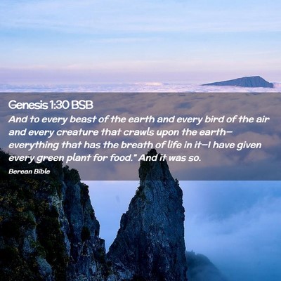 Picture 02 - Genesis 1:30 BSB - And to every beast of the earth and every bird of - Bible Verse Picture