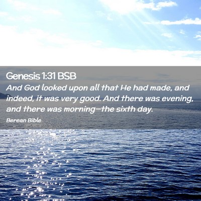 Picture 02 - Genesis 1:31 BSB - And God looked upon all that He had made, and - Bible Verse Picture