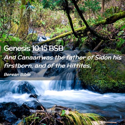 Picture 02 - Genesis 10:15 BSB - And Canaan was the father of Sidon his firstborn, - Bible Verse Picture