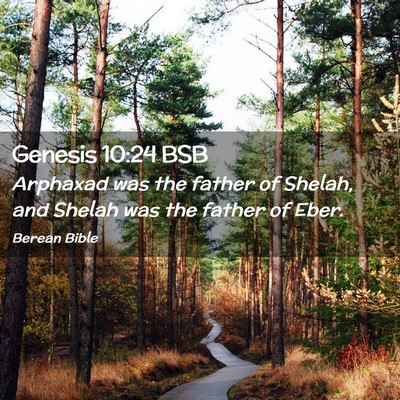 Picture 02 - Genesis 10:24 BSB - Arphaxad was the father of Shelah, and Shelah was - Bible Verse Picture