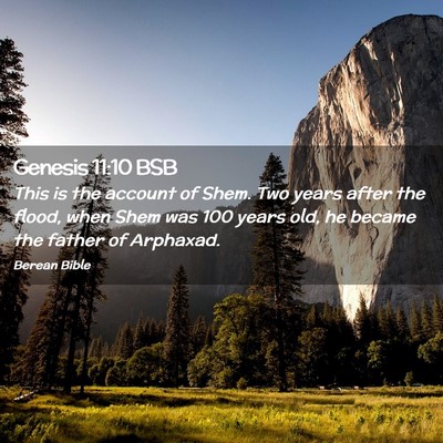 Picture 02 - Genesis 11:10 BSB - This is the account of Shem. Two years after the - Bible Verse Picture