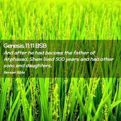 Picture 02 - Genesis 11:11 BSB - And after he had become the father of Arphaxad, - Bible Verse Picture