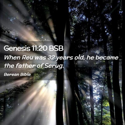 Picture 02 - Genesis 11:20 BSB - When Reu was 32 years old, he became the father - Bible Verse Picture
