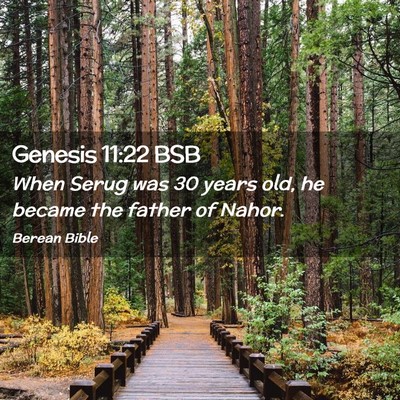 Picture 02 - Genesis 11:22 BSB - When Serug was 30 years old, he became the father - Bible Verse Picture