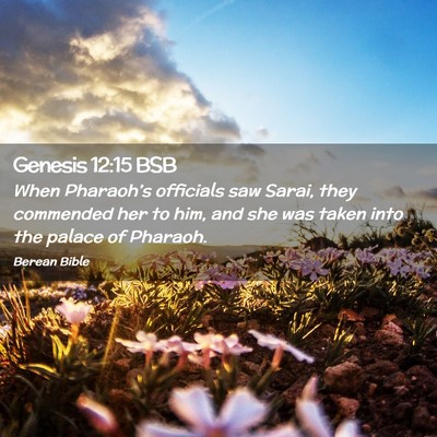 Picture 02 - Genesis 12:15 BSB - When Pharaoh’s officials saw Sarai, they - Bible Verse Picture