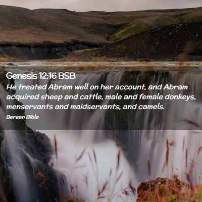 Picture 02 - Genesis 12:16 BSB - He treated Abram well on her account, and Abram - Bible Verse Picture