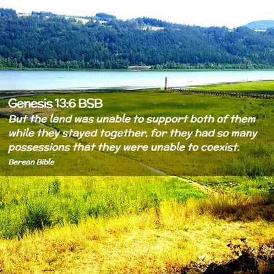 Picture 02 - Genesis 13:6 BSB - But the land was unable to support both of them - Bible Verse Picture
