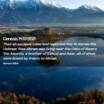 Picture 02 - Genesis 14:13 BSB - Then an escapee came and reported this to Abram - Bible Verse Picture