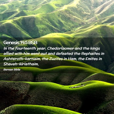 Picture 02 - Genesis 14:5 BSB - In the fourteenth year, Chedorlaomer and the - Bible Verse Picture