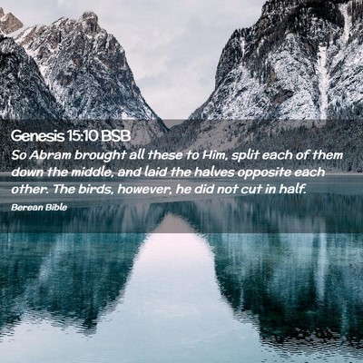 Picture 02 - Genesis 15:10 BSB - So Abram brought all these to Him, split each of - Bible Verse Picture
