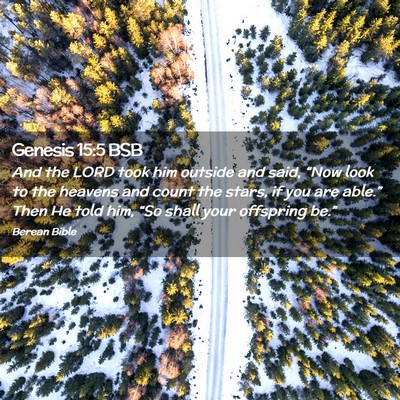 Picture 02 - Genesis 15:5 BSB - And the LORD took him outside and said, “Now - Bible Verse Picture